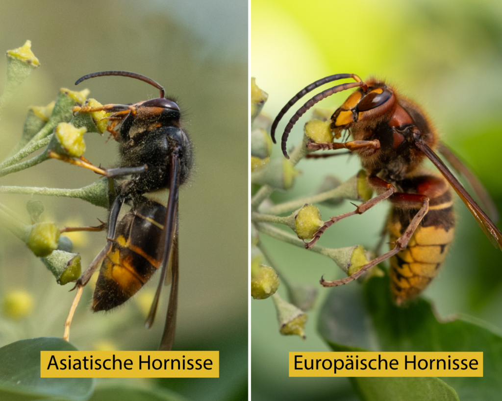 Kein Titel (1350 x 1080 px) - 1